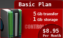 Basic Hosting Plan