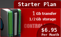 Starter Hosting Plan